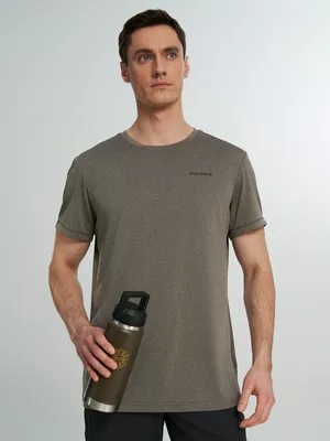 Футболка Icepeak Bogen, серый, арт. 957755626QTICP-276