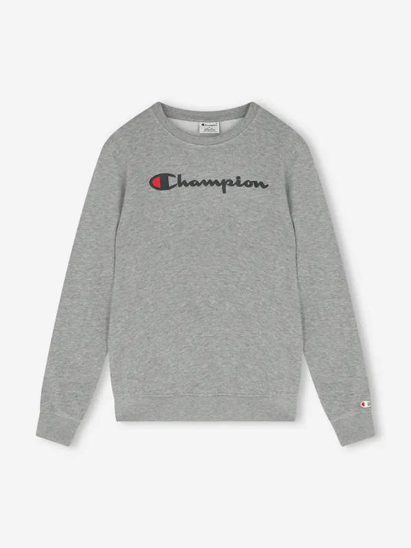 Свитшот Champion с принтом, серый, арт. 307614C0K-EM006
