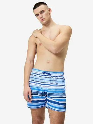 Мужские плавательные шорты Speedo, синий, арт. 8-1283717288S0Y-17288