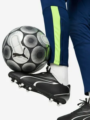 Бутсы PUMA Vitoria Fg/Ag, черный, арт. 107483P0P-01