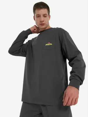 Лонгслив мужской оверсайз The North Face Expedition Celebration, серый, арт. NF0A8E3DRHI1T1K