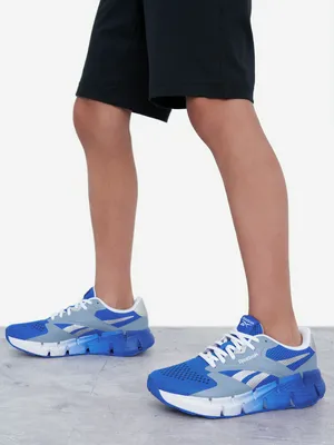 Кроссовки Reebok Zig Dynamica 5, голубой, арт. 100231952R00