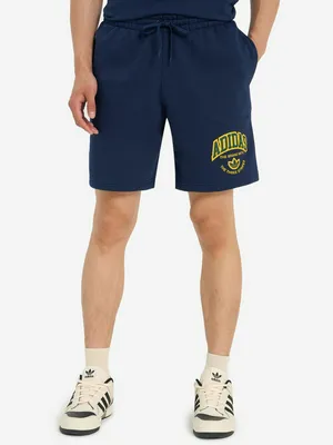 Шорты мужские Adidas VRCT, синий, арт. IS2930A01