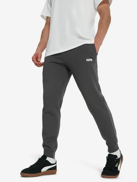 Брюки мужские PUMA Ess 2 Color No. 1 Logo, серый, арт. 684713P0P-44