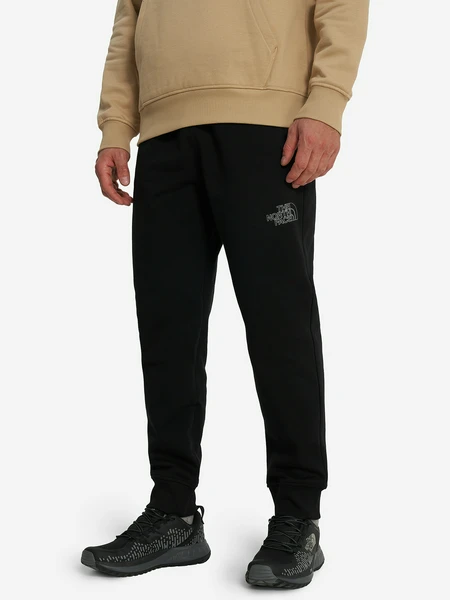 Брюки The North Face Drew Peak, черный, арт. NF0A8A6BJK31T1K