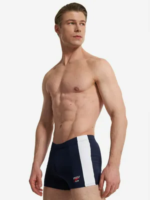 Плавки-шорты Speedo Colorblock, синий, арт. 8-00508001529S0Y-01529