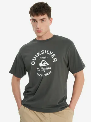 Футболка Quiksilver Bombshell Flaxton, серый, арт. EQYZT08240Q02-KRP0