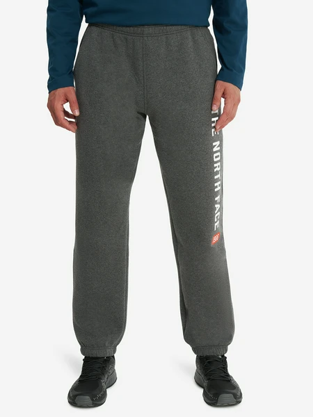 Брюки The North Face Varsity Graphic, серый, арт. NF0A89DPDYY1T1K
