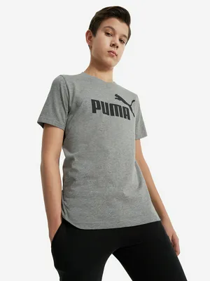 Футболка для мальчиков PUMA No. 1 Logo, серый, арт. 684906P0P-03