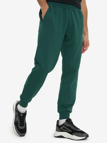 Брюки мужские FILA, зеленый, арт. 125574FLA-74