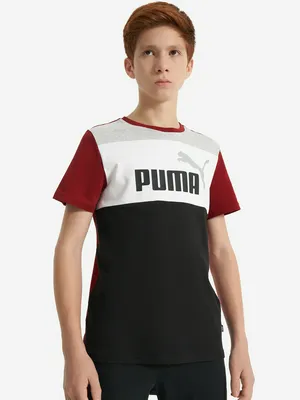 Футболка для мальчиков PUMA ESS+ Block, красный, арт. 679716P0P-13