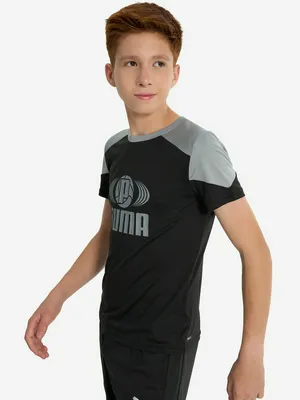 Футболка PUMA Active Sports, черный, арт. 681810P0P-01