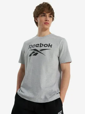 Футболка Reebok Chad, серый, арт. 100240896R00