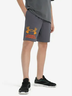 Шорты для мальчиков Under Armour Tech Logo, серый, арт. 1383333U0F-026