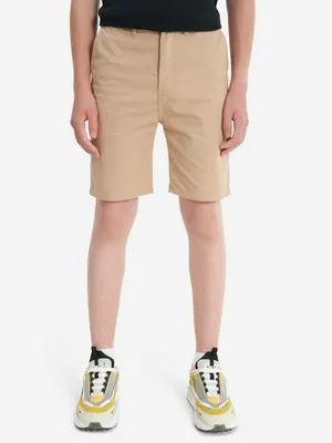 Шорты для мальчиков Quiksilver Everyday Light, бежевый, арт. AQBWS03076Q02-CJZ0