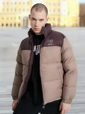 Мужской пуховик, коричневый, арт. W552349306-6W361