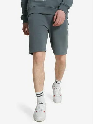 Шорты мужские Ellesse, серый, арт. ELA251M201E0V-24
