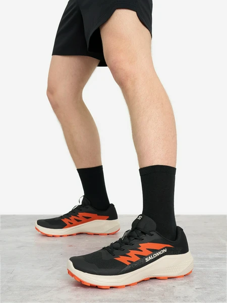 Кроссовки Salomon Alphaglide, черный, арт. L47801100S03