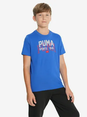 Футболка PUMA Graphics Varsity, голубой, арт. 690739P0P-13
