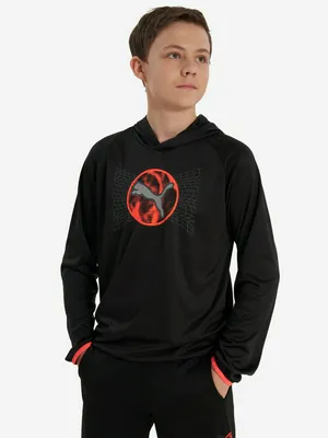 Худи для мальчиков PUMA Active Sports, черный, арт. 527692P0P-01