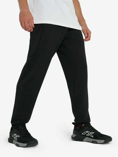 Брюки мужские Athlex, черный, арт. 141262A31-99