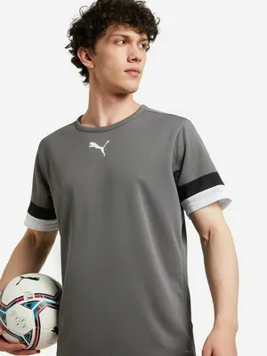 Футболка Puma Teamrise Jersey, серый, арт. 704932P0P-13