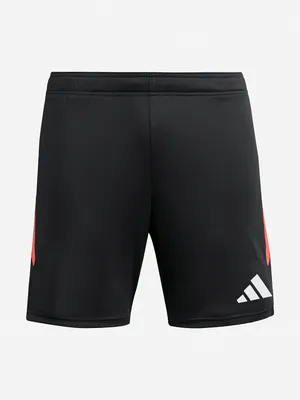 Мужские шорты Adidas, черный, арт. KA8776A01