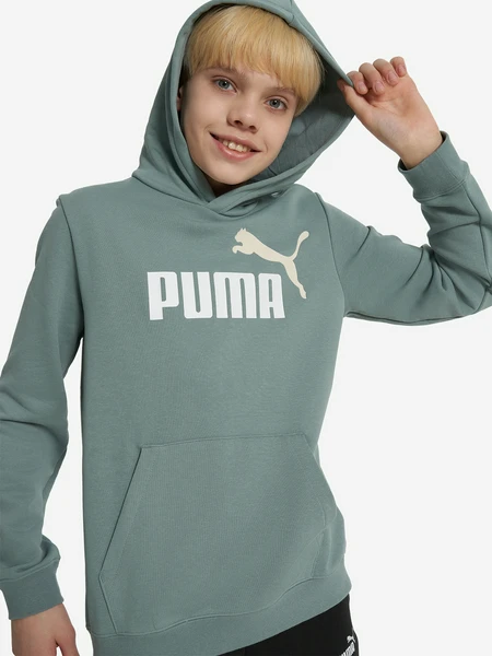 Худи Puma No.1 Logo, зеленый, арт. 685823P0P-30