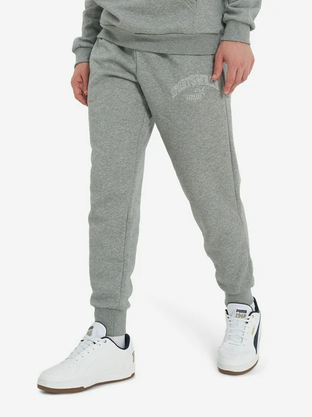 Брюки мужские Puma, серый, арт. 681776P0P-03