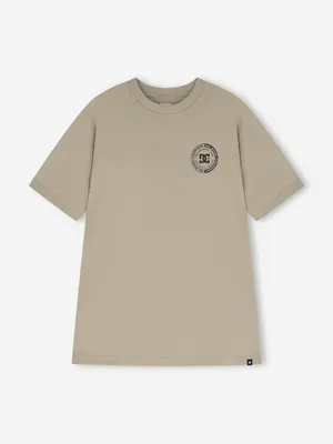 Футболка мужская DC Shoes, коричневый, арт. ADYZT05440D12-TZK0