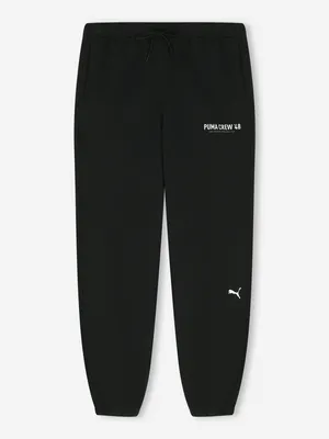 Брюки мужские Puma, черный, арт. 528671P0P-01