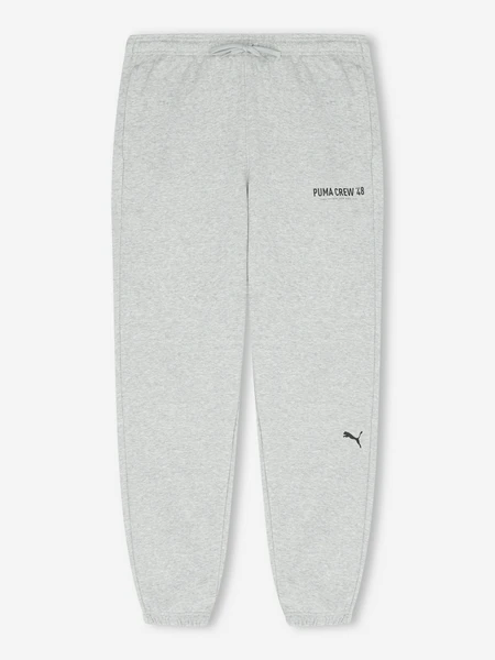 Брюки мужские Puma Серый, серый, арт. 528671P0P-04