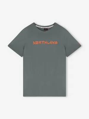 Футболка Northland, серый, арт. 141208N16-93