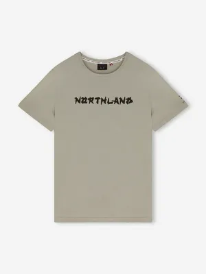 Футболка мужская Northland, бежевый, арт. 141208N16-T1