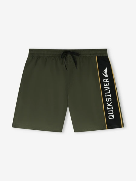 Шорты плавательные Quiksilver Everyday Clicker Volley 17, зеленый, арт. EQYJV04203Q02-CRE0