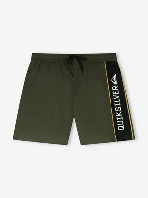 Шорты плавательные Quiksilver Everyday Clicker Volley 17, зеленый, арт. EQYJV04203Q02-CRE0