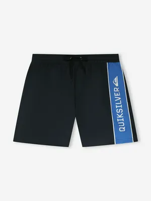 Шорты плавательные Quiksilver Everyday Clicker Volley 17, синий, арт. EQYJV04203Q02-KTP0