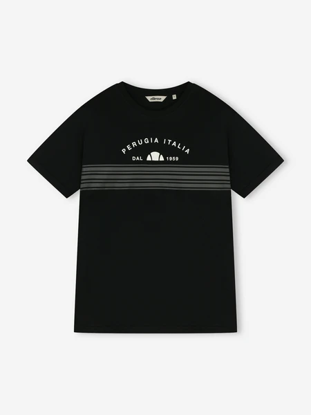 Футболка мужская Ellesse, черный, арт. ELA261M843E0V-01
