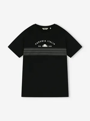 Футболка мужская Ellesse, черный, арт. ELA261M843E0V-01