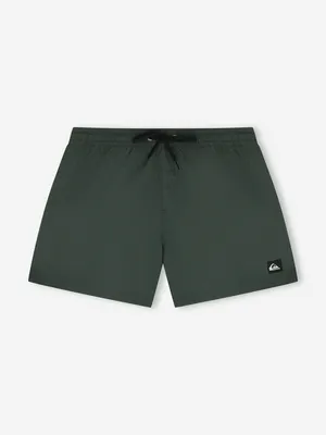 Шорты плавательные Quiksilver Everyday Volley 15, зеленый, арт. EQYJV04120Q02-GRTH
