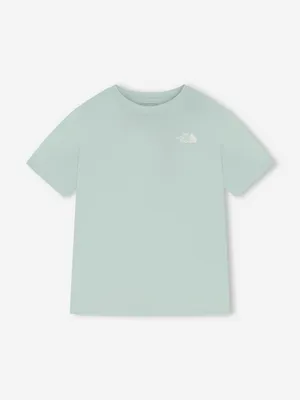 Футболка The North Face Evolution Box Nse Relaxed, голубой, арт. NF0A8B6WG701T1K