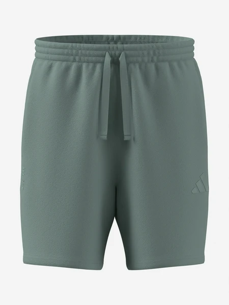 Мужские Шорты Adidas, голубой, арт. KC3157A01