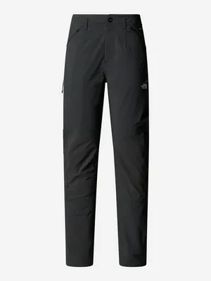 Брюки The North Face Speedlight Regular, серый, арт. NF0A8EKR0C51T1K