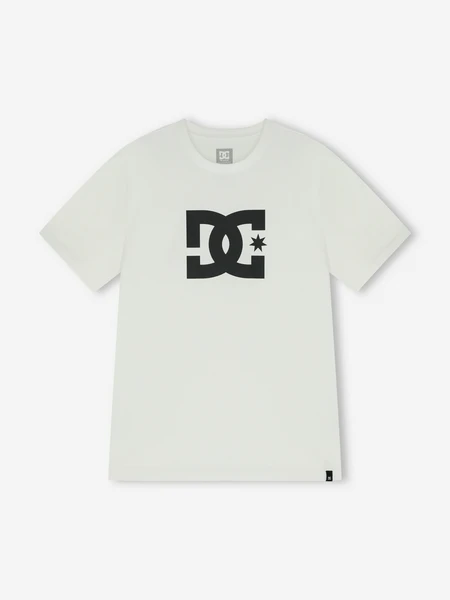 Футболка мужская DC Shoes Star, белый, арт. ADYZT05373D12-WBB0