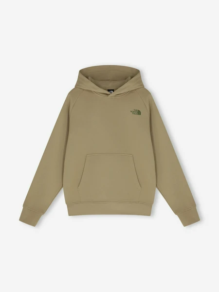 Худи мужское The North Face, бежевый, арт. NF0A89F9LK51T1K