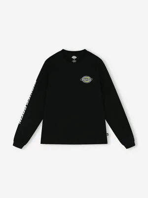 Лонгслив Dickies, черный, арт. DK0A8A12D3F-BLK1