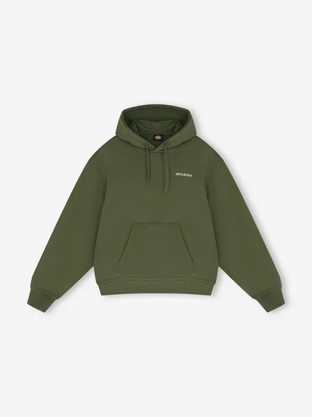 Худи Dickies Loretto, зеленый, арт. DK0A889ZD3F-K721