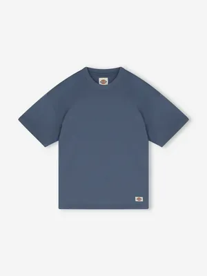 Футболка Dickies Mineral Heavyweight, синий, арт. DK0A87QED3F-RI21