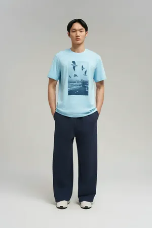 Футболка Finn Flare regular fit, серый, арт. FBG21061