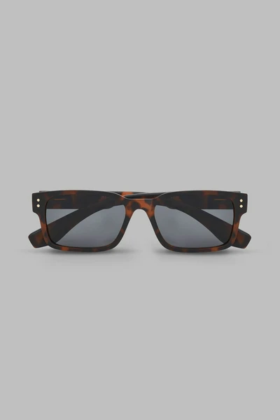 Женские очки Finn Flare FBG11602, арт. FBG11602